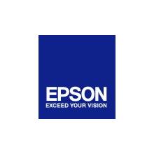 EPSON cartridge T5807 light black (80ml)