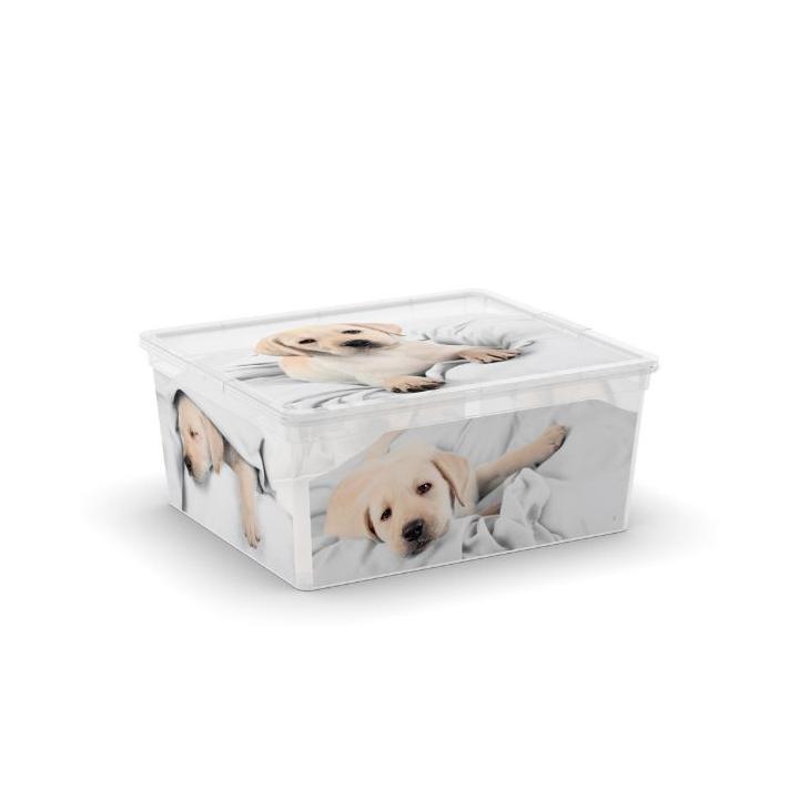 Plastový C Box s víkem M Puppy & Kitten