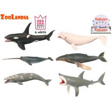 Zoolandia mořská zvířátka 18-26cm 6 druhů