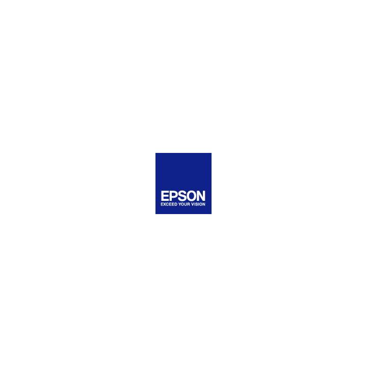 EPSON cartridge T6368 matte black (700ml)